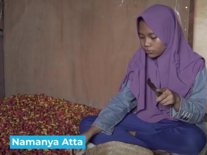 kisah pelajar jadi tukang kupas melinjo