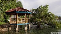 Sumur tiga rasa berada di pinggir pantai Desa Karampuang, Kecamatan Mamuju. (Abdy Febriady/detikcom)