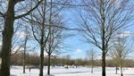 Ketika Taman Kota Membeku, Inilah Waktu Tepat Bermain Ski