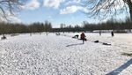 Ketika Taman Kota Membeku, Inilah Waktu Tepat Bermain Ski