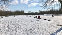 Hamparan salju yang mulai membeku sepanjang mata memandang di Kota Utrecht.