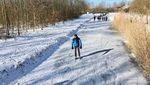 Ketika Taman Kota Membeku, Inilah Waktu Tepat Bermain Ski