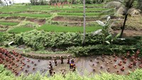 Ratusan patung tersebut telah lama menjadi ikon Kabupaten Banyuwangi.