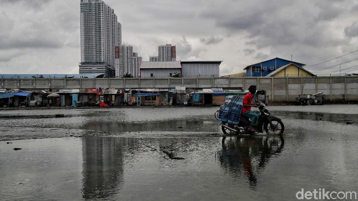 Ini Kampung di Jakut yang Selalu Diterjang Banjir Rob Kawasan Muara Angke, Jakarta Utara, selalu menjadi langganan banjir rob kala musim hujan. Bahkan saat musim kemarau pun banjir kadang menerjang.