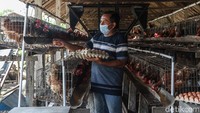 Sukarman saat ini ia menjadi salah satu pengurus di Koperasi Peternak Unggas Sejahtera yang menaungi para peternak telur di Blitar.