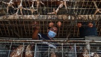 Sukarman merupakan satu dari ratusan potret petani unggas di Blitar.  Kota di selatan Jawa Timur itu kerap dijuluki sebagai sentra produk unggas.