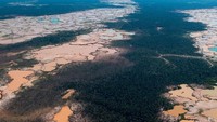 Seorang astronaut di Stasiun Luar Angkasa Internasional (ISS) mengambil foto-foto menakjubkan yang langka itu pada bulan Desember. Gambar-gambar tersebut menambah bukti tentang skala kerusakan di wilayah Madre de Dios, Peru tenggara, akibat penambangan emas.  