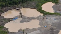 Peru adalah negara pengekspor emas terbanyak, dan Madre de Dios adalah kawasan tempat industri besar beroperasi tanpa izin hingga mempekerjakan ribuan penambang. Kawasan tersebut memiliki keanekaragaman hayati yang tinggi dan industri ekstraktif telah menyebabkan deforestasi besar-besaran dan kerusakan habitat penting bagi satwa liar.  