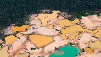 Lubang-lubang tempat para penambang mencari emas tampak sebagai ratusan cekungan berisi air, dikelilingi oleh lumpur di tempat vegetasi telah dihilangkan, NASA menjelaskan. Di beberapa bagian wilayah, yang merupakan rumah bagi beberapa spesies termasuk monyet, jaguar, dan kupu-kupu, para ilmuwan percaya bahwa pertambangan adalah penyebab utama deforestasi.  