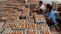 Telur dipisah menjadi 3 kategori utama yakni kulit telur dengan coklat, krem dan putih.