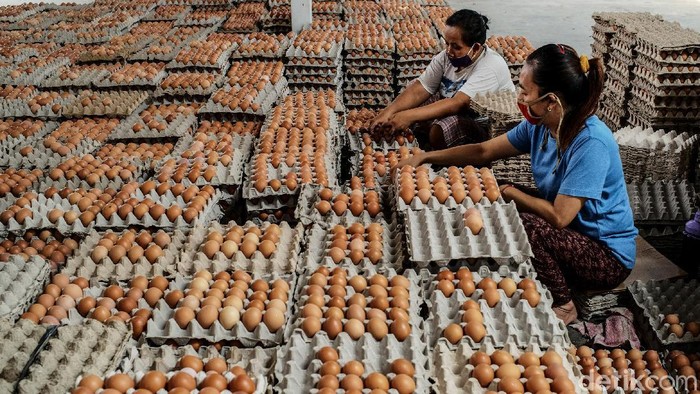 Intip Pengemasan Telur di Blitar Tidak Pernah Sepi Meski Pandemi