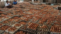 Pengemasan telur yang tidak pernah sepi meski pandemi para pekerja menyortir telur sesuai kualitas sebelum dikemas dalam wadah di gudang Koperasi Peternak Unggas Sejahtera, di Kecamatan Ponggok, Blitar, Jawa Timur.