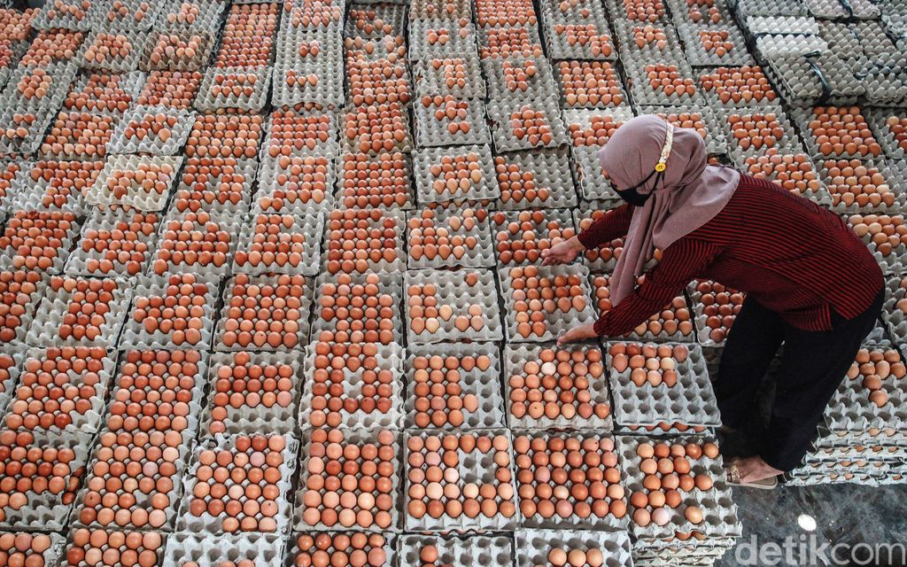 Para pekerja menyortir telur sesuai kualitas sebelum dikemas dalam wadah di gudang Koperasi Peternak Unggas Sejahtera, di Kecamatan Ponggok, Blitar (2/2/2021). Telur dipisah menjadi 3 kategori utama yakni kulit telur dengan coklat, krem dan putih.