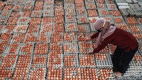 Telur yang siap kirim akan dikemas khusus agar aman dalam perjalanan.