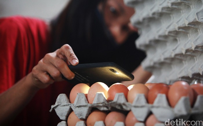Para pekerja menyortir telur sesuai kualitas sebelum dikemas dalam wadah di gudang Koperasi Peternak Unggas Sejahtera, di Kecamatan Ponggok, Blitar (2/2/2021). Telur dipisah menjadi 3 kategori utama yakni kulit telur dengan coklat, krem dan putih.