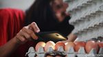 Intip Pengemasan Telur di Blitar Tidak Pernah Sepi Meski Pandemi