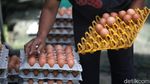 Melihat Primadona Masyarakat Blitar Ternak Ayam Petelur