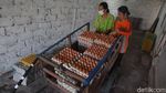 Melihat Primadona Masyarakat Blitar Ternak Ayam Petelur