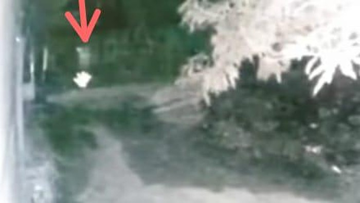 Tangkapan layar video viral pocong dikejar anjing di Jeneponto, Sulsel (dok. Istimewa).