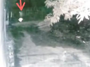 Pocong Dikejar Anjing di Sulsel, Apa Anjing Bisa Lihat Hantu?