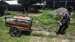 Tatapan Optimis Para Pejuang Telur