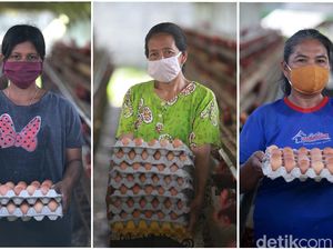 Tatapan Optimis Para Pejuang Telur