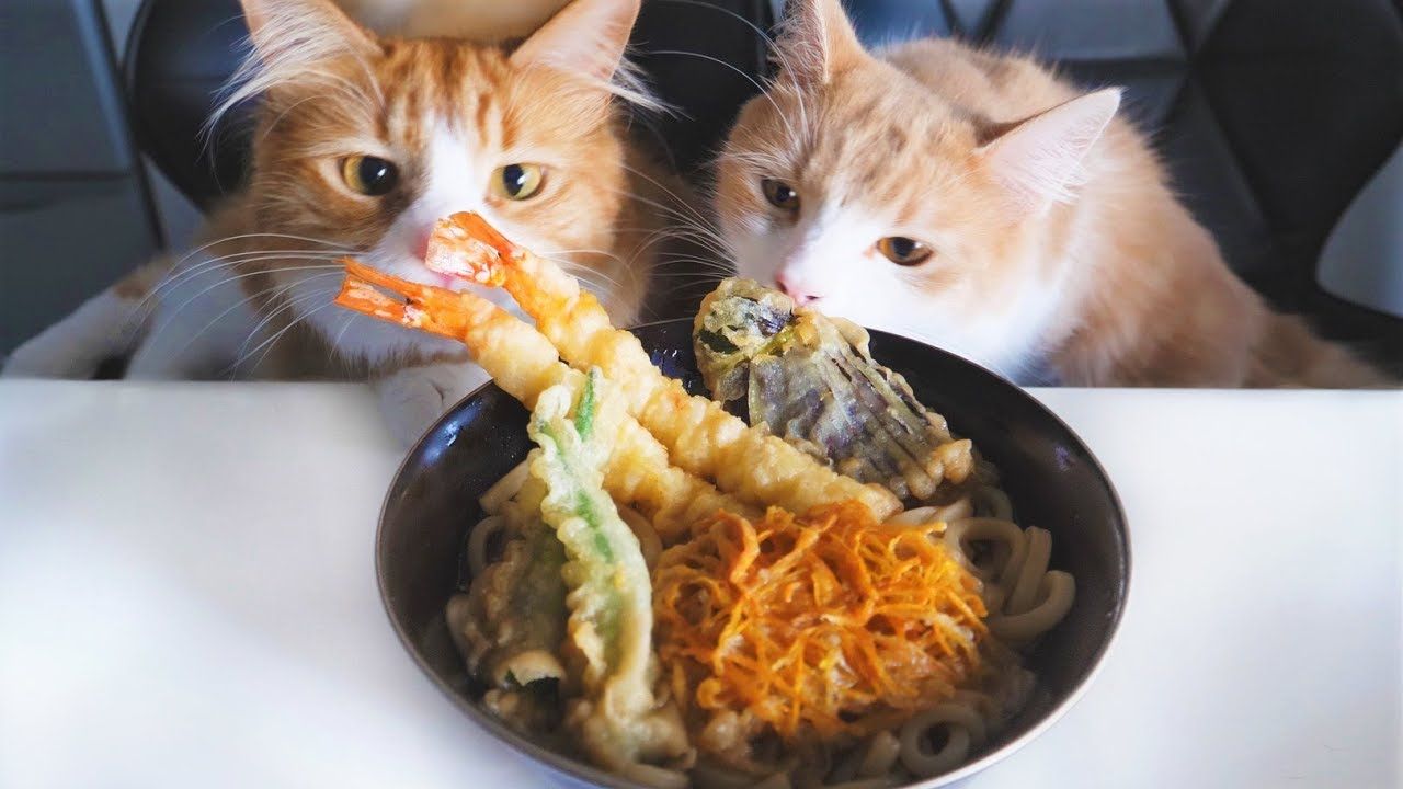 5 Channel YouTube Ini Berisi Video Masak yang Bikin Tenang