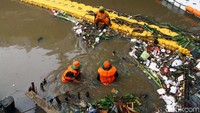 Jenis sampah yang ada di Kali Krukut sebagian besar adalah sampah limbah rumah tangga.