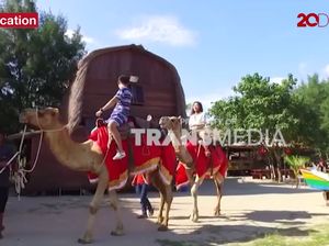 Celebrity on Vacation: Santai Naik Unta di Pinggir Pantai