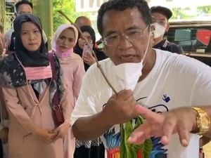 Mantap Divaksin, Hotman Paris Tak Sabar Terbang ke Bali