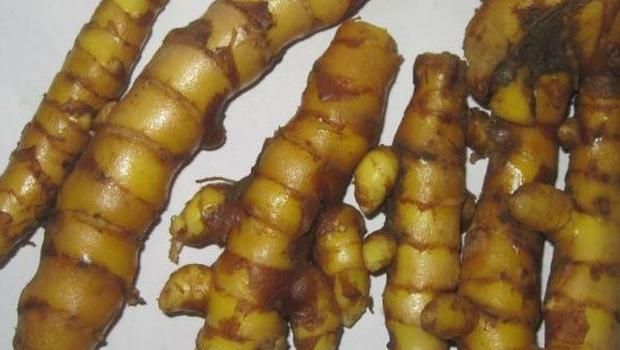 lengkuas (Detik) lengkuas (Detik)