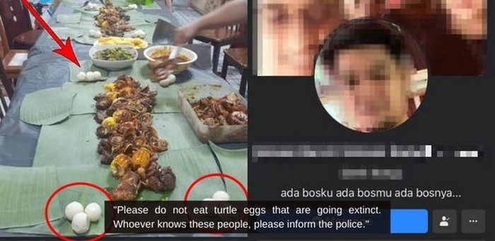 Pamer Makan Telur Penyu, Satu Keluarga Ini Dihujat Netizen Pamer Makan Telur Penyu, Satu Keluarga Ini Dihujat Netizen