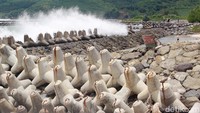 Pemecah ombak dari beton pracetak (tetrapod) terlihat di salah satu sisi pantai. Tujuannya untuk menghambat arus pantai ke daratan.
