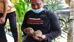 Penampakan 2 Kucing Hutan yang Bikin Geger Warga Lamongan