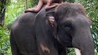 Foto kontroversial Alesya Kafelnikova dalam pengambilan gambar untuk kampanye perlindungan hewan di Bali. (dok. Instagram)