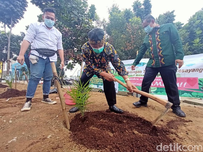 Bupati Bandung Dadang Naser melakukan penanaman pohon.