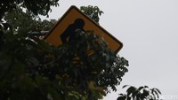 Dahan pohon dan daun pohon yang menutup rambu dan petunjuk jalan tersebut menganggu penglihatan pengendara.  