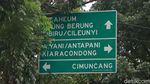 Duh, Rambu Jalan di Bandung Banyak Tertutup Pohon