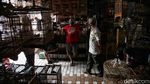Giliran Pasar Burung yang Jadi Sasaran Sidak PPKM Mikro