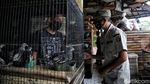 Giliran Pasar Burung yang Jadi Sasaran Sidak PPKM Mikro