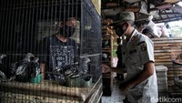 Masih ada kasus aktif sebanyak 162.182 atau 13% dari total kasus konfirmasi positif.
