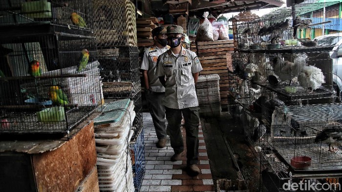 Giliran Pasar Burung yang Jadi Sasaran Sidak PPKM Mikro Usai Pasar Pramuka yang jadi sasaran prokes PPKM Mikro, gini giliran Pasar Burung, Jakarta Timur, yang diperiksa petugas gabungan.