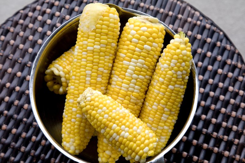 Closeup image of a woman holding and showing sweet corn