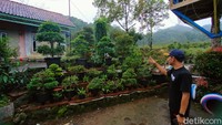 Biasanya pengunjung adalah anak-anak sekolah, dari SD-SMA. Mereka belajar pertanian dan diajak cara memasukkan tanaman ke polybag. Sementara untuk siswa SMP, SMA atau dewasa akan diajari cara menanam, memupuk dan menempel batang pohon Anggur Brasil.