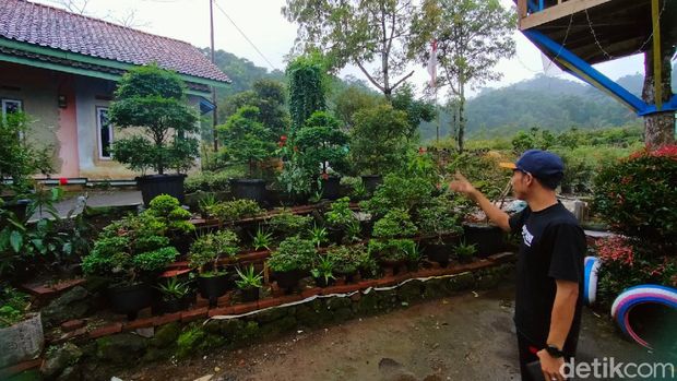 Agrowisata di Majalengka.