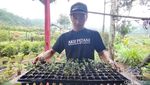 Foto: Kebun Anggur Brasil, Tapi Kok di Majalengka