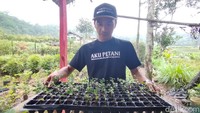 Deden Purbaya (29) pemilik sekaligus pengelola Kebun Anggur Brazil di Majalengka sudah membudidaya jenis ini sejak 2019. Baru di tahun 2020, dia berani menawarkan tiga paket wisata: ada paket edukasi, paket wisata dan paket liwet. 