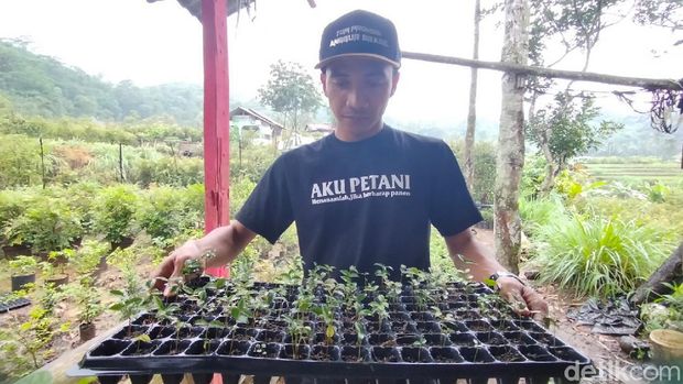 Agrowisata di Majalengka.