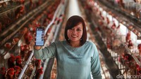 Peternak ayam petelur, Kristina Sari Noviantri Ningtyas menunjukkan aplikasi digital Pasar Mikro yang membantu proses pemasaran di Koperasi Peternak Unggas Sejahtera (Putera) Blitar, beberapa waktu lalu.