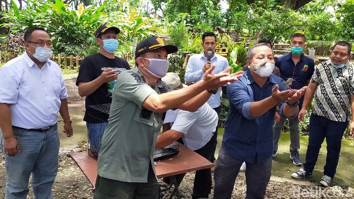 pelepasan burung di djawatan